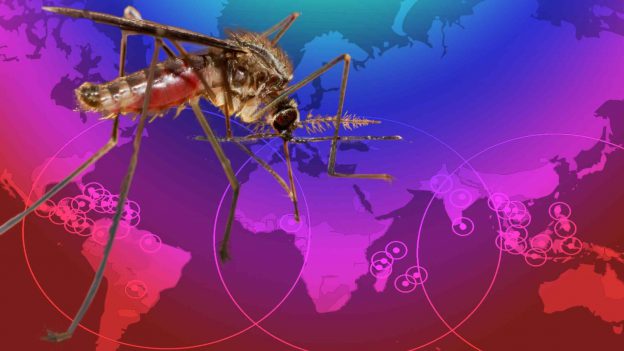 Causes of Zika Virus Outbreak