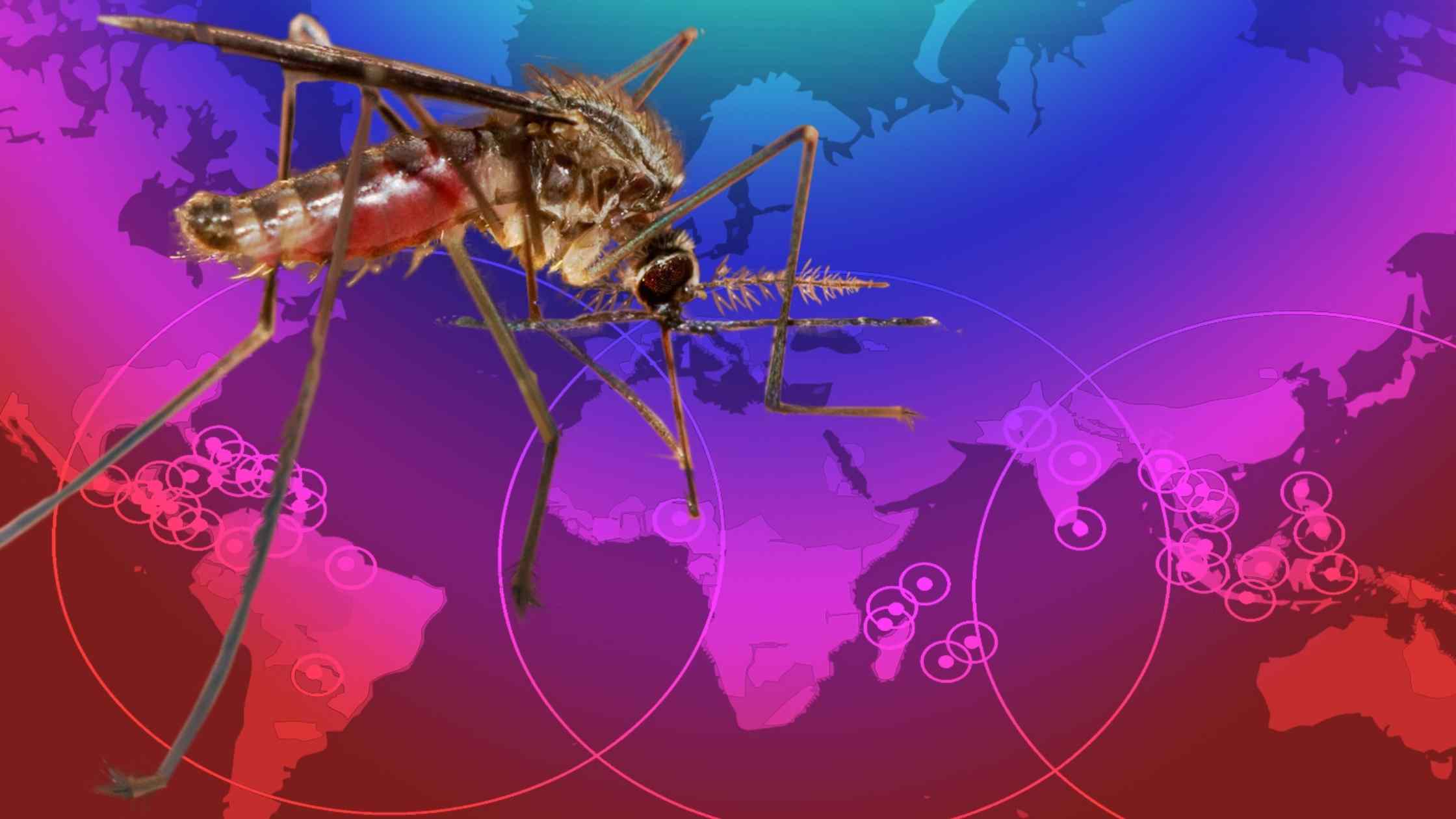 Causes Of Zika Virus Outbreak Researchyard 